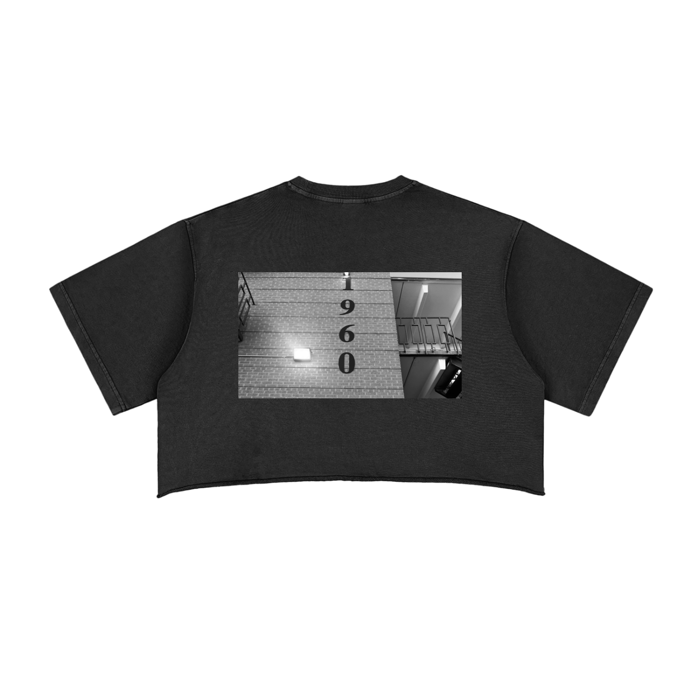 Snow Washed Raw Edge Crop Top